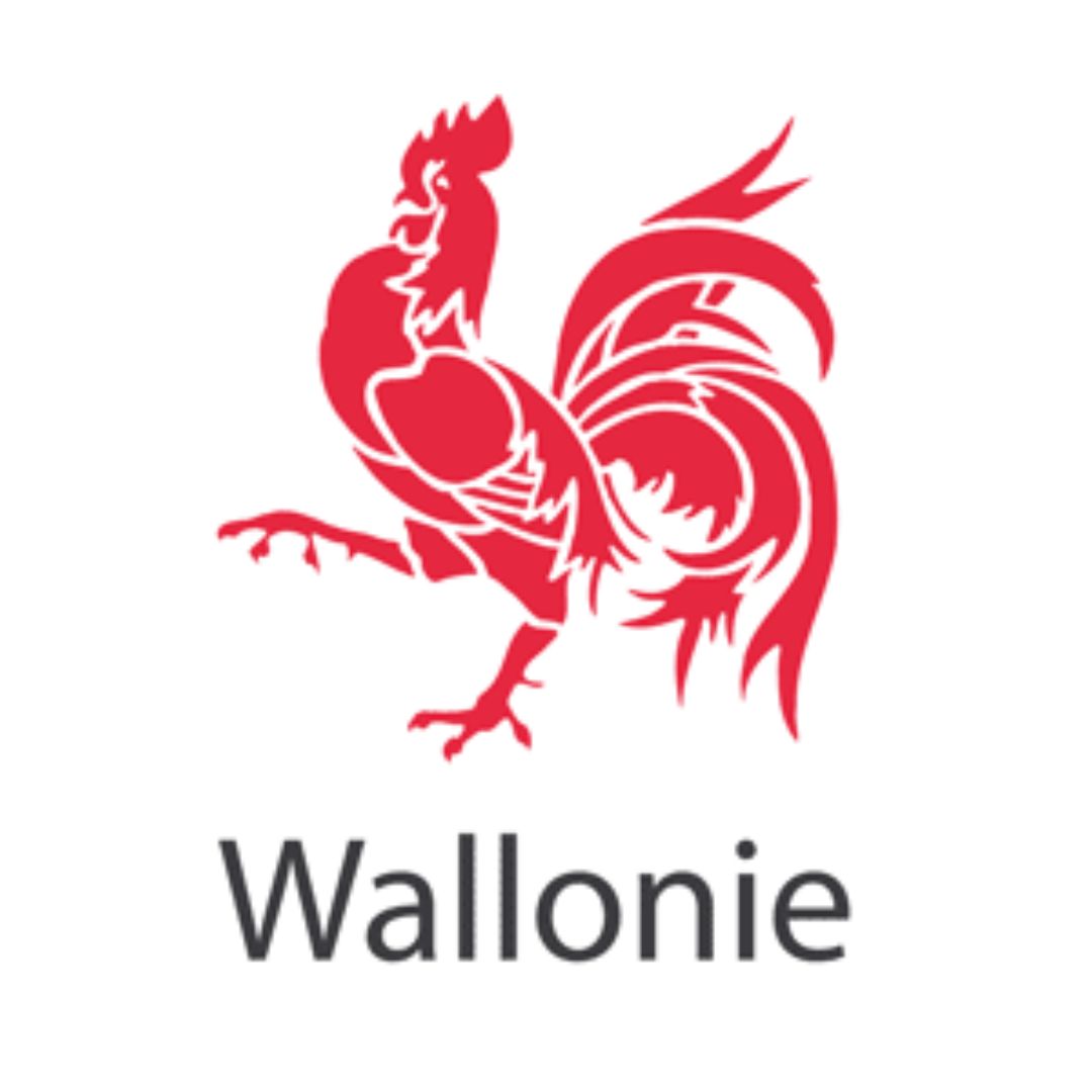 Logo Walloon Government