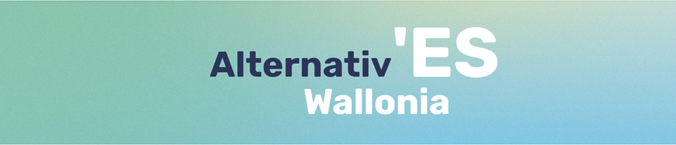 Featured image for “Drawing up a Walloon support strategy for social enterprises for the 2019-2024 legislative period”