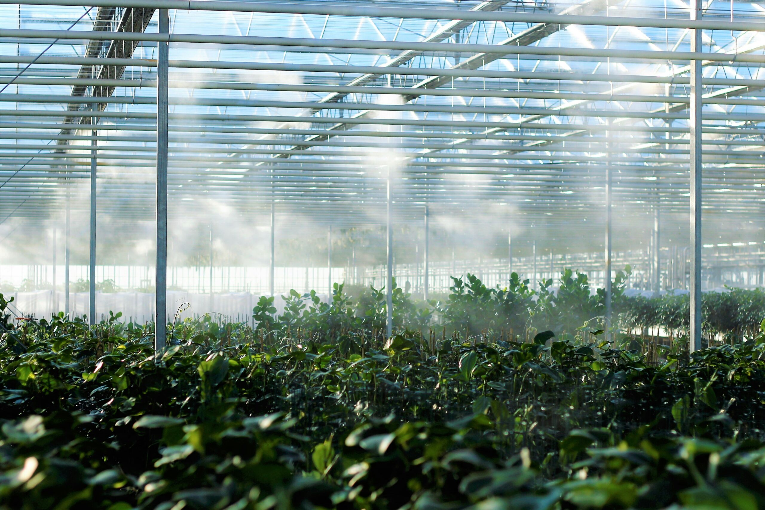 Featured image for “European project development RE-Greenhouse (Interreg)”