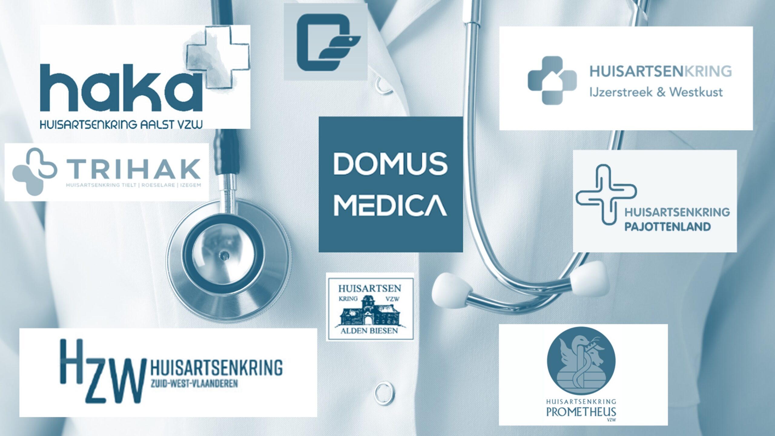 Featured image for “Toekomstkompas en begeleidingstraject platform huisartsenkringen Domus Medica”